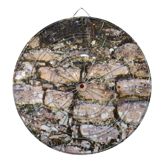 Mayan Ruins Wall  Dartboard (Front)