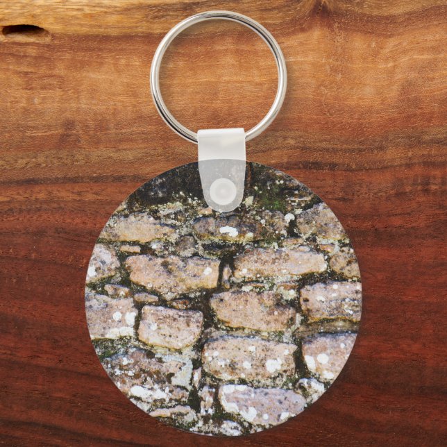 Mayan Ruins Wall  Key Ring (Front)