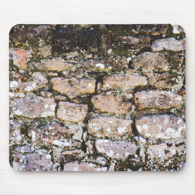 Mayan Ruins Wall  Mouse Pad (Front)
