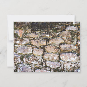 Mayan Ruins Wall Postcard