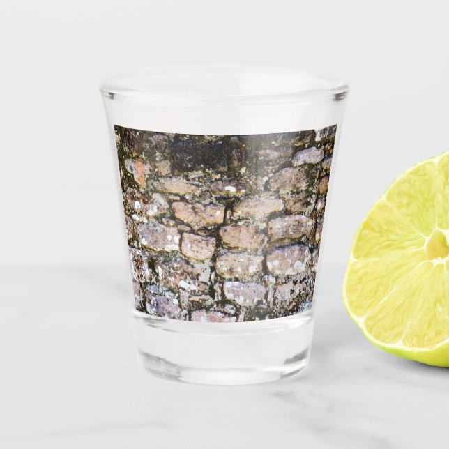 Mayan Ruins Wall  Shot Glass (Front)
