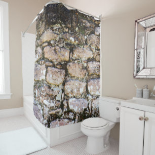 Mayan Ruins Wall Shower Curtain