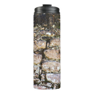 Mayan Ruins Wall Thermal Tumbler