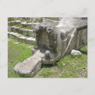 Mayan Snake Postcard