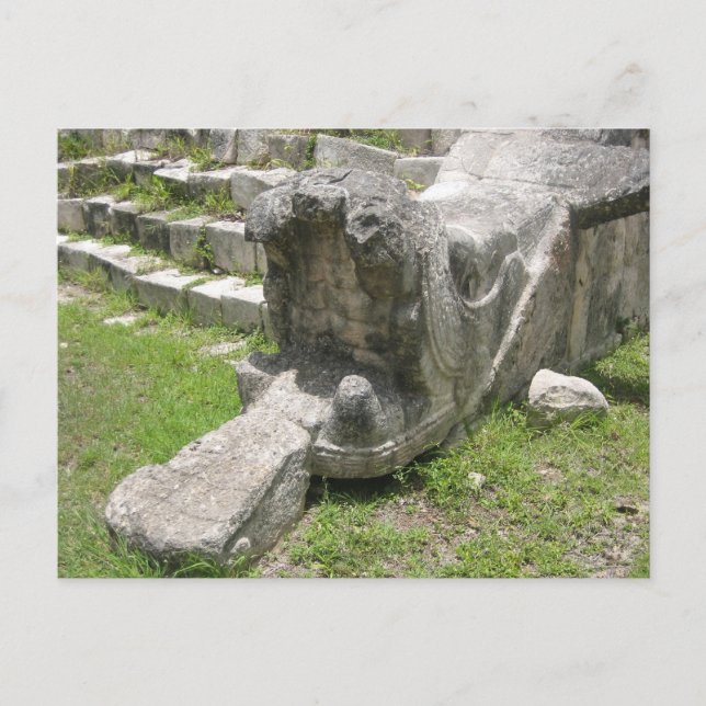 Mayan Snake Postcard (Front)