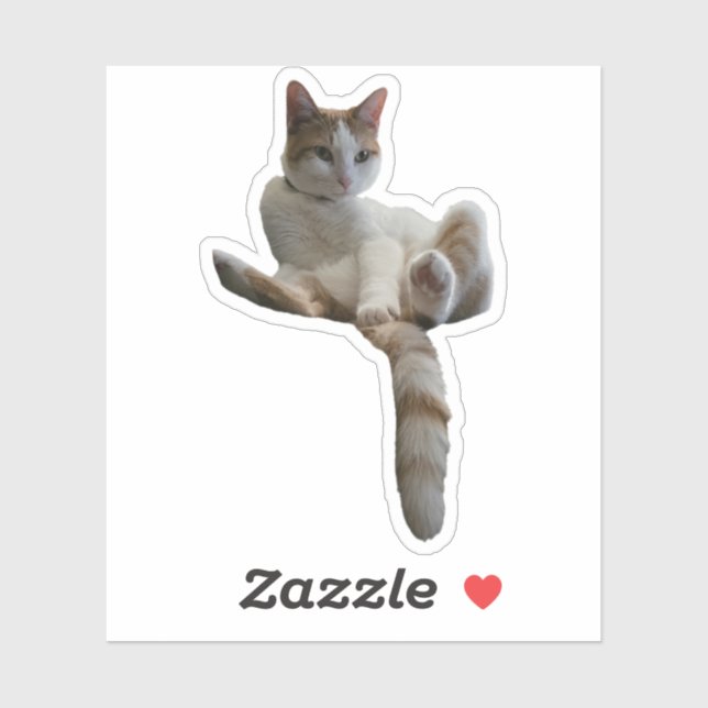 Maybe You Should Cover That Up? Cat (Sheet)