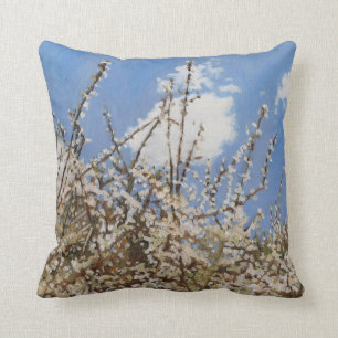 Mayflower 2012 cushion