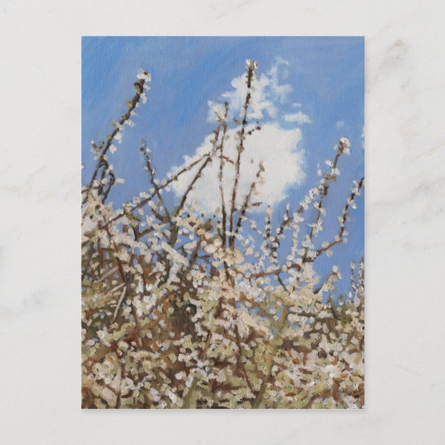 Mayflower 2012 postcard (Front)