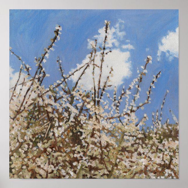 Mayflower 2012 poster (Front)