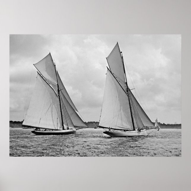 Mayflower and Galatea Start America's Cup 1886 Poster (Front)