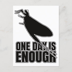 Mayflower One Day Flies – Entomology Geek Postcard