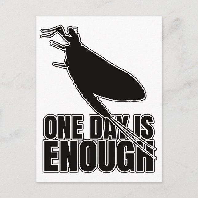 Mayflower One Day Flies – Entomology Geek Postcard (Front)