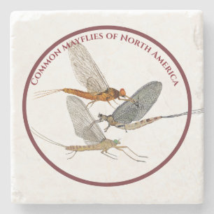 Mayfly Coasters
