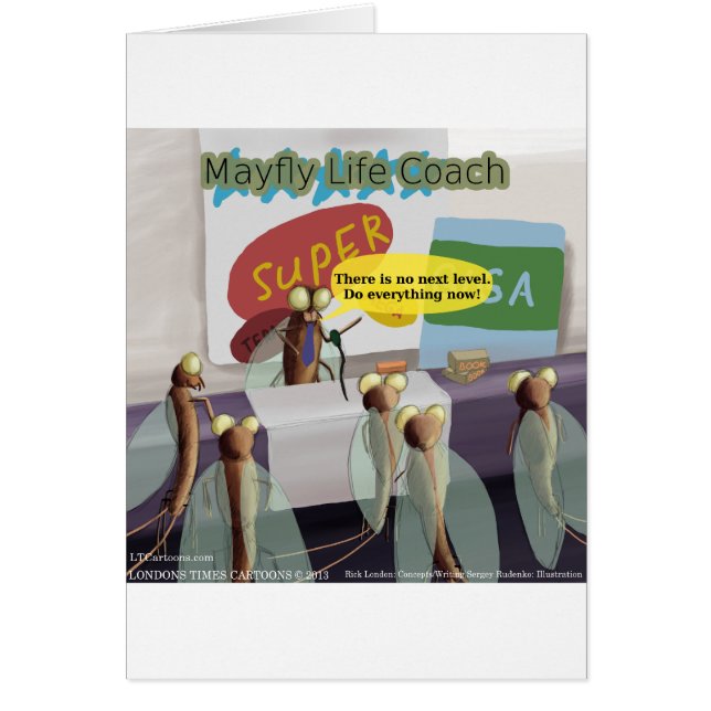 Mayfly Life Coach Funny (Front)