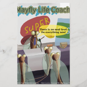 Mayfly Life Coach Funny Stationery
