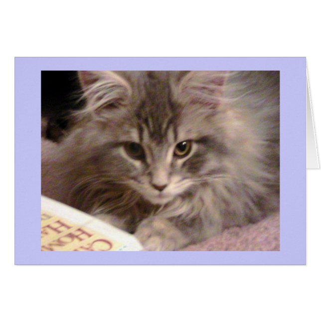 Maynard's Trashy Novel Card (Front Horizontal)