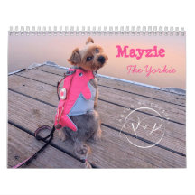 Mayzie Calendar V (2024 Style)