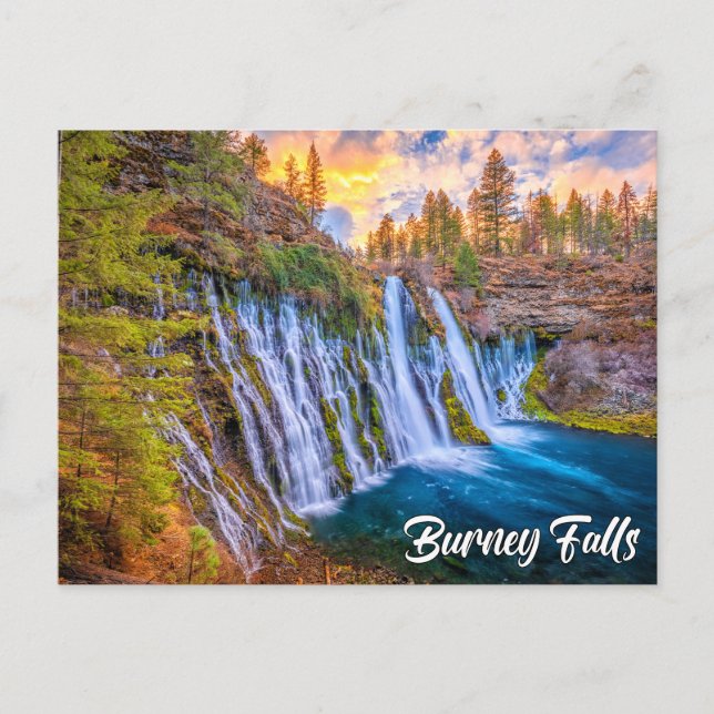 McArthur-Burney Falls Memorial State Park Postcard (Front)