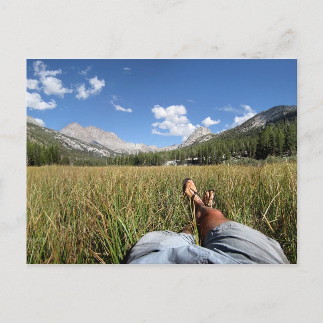 McClure Meadow - Evolution valley - John Muir Trai Postcard (Front)