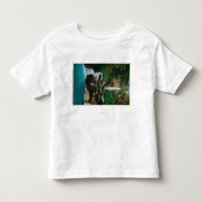 McCord Creed Falls on Columbia River Toddler T-Shirt (Front)