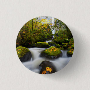 McCord Creek Bigleaf Maple Columbia Gorge, OR 3 Cm Round Badge