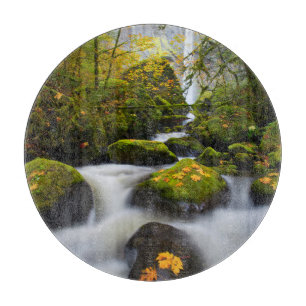 McCord Creek Bigleaf Maple   Columbia Gorge, OR Cutting Board
