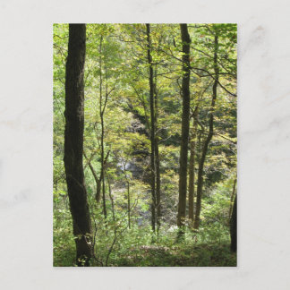 McCormick's Creek Postcard