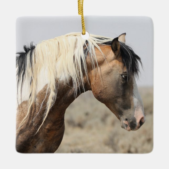 McCullough Peaks Traveller Wild Horse Ceramic Orna Ornament (Front)