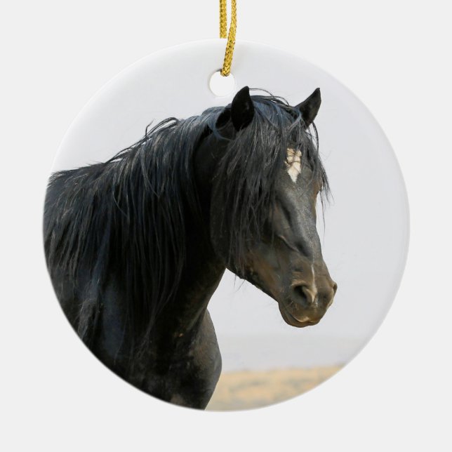 McCullough Peaks Wild Horse Jet Stream Ceramic Orn Ornament (Front)