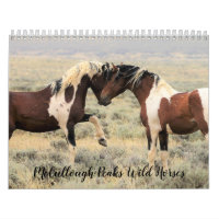 McCullough Peaks Wild Horses