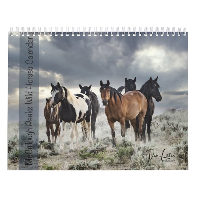 McCullough Peaks Wild Horses Calendar (Cover)