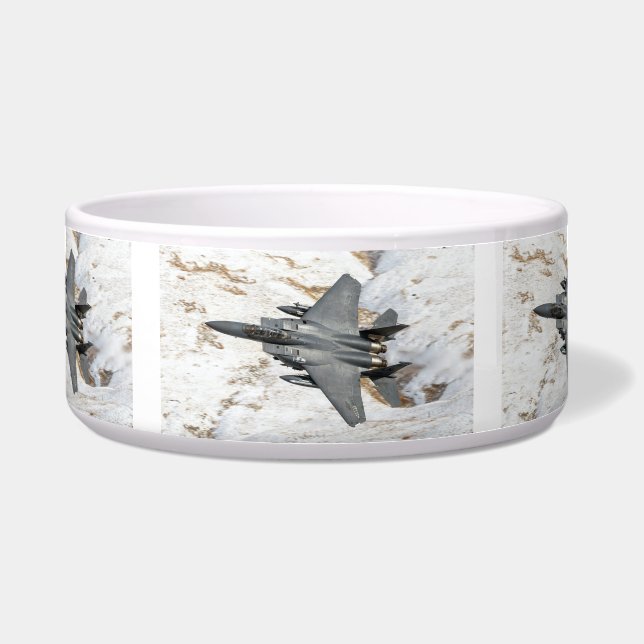 McDonnell Douglas F-15 Eagle (Front)