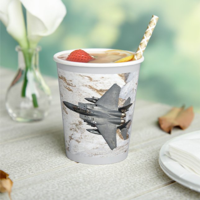 McDonnell Douglas F-15 Eagle Paper Cups (Insitu)