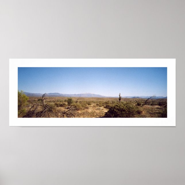 McDowell National Park Poster (Front)