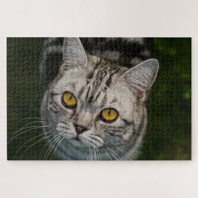 McGonagall cat puzzle (Horizontal)