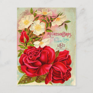McGregor Bros. Floral Gems Advertisement Postcard
