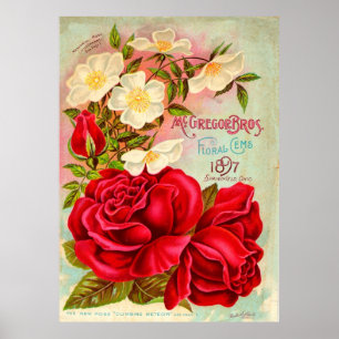 McGregor Bros. Floral Gems Advertisement Poster