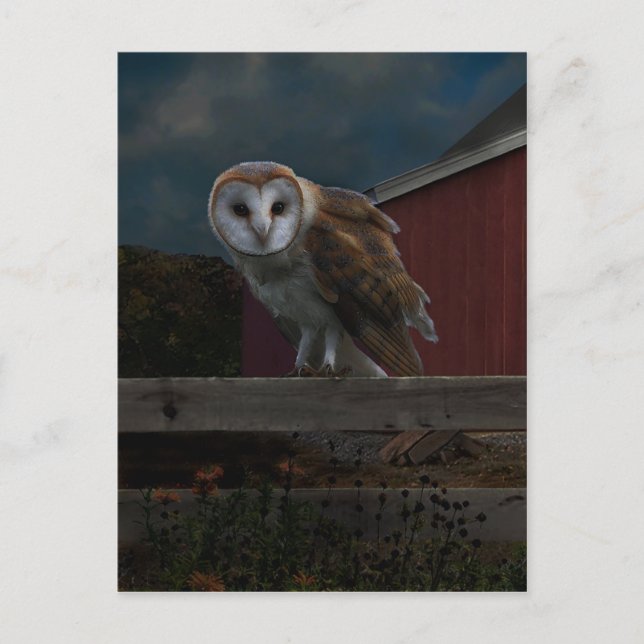 "McHoots the Watch Owl" Postcard (Front)