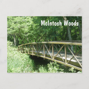 McIntosh Woods State Park, Iowa Postcard