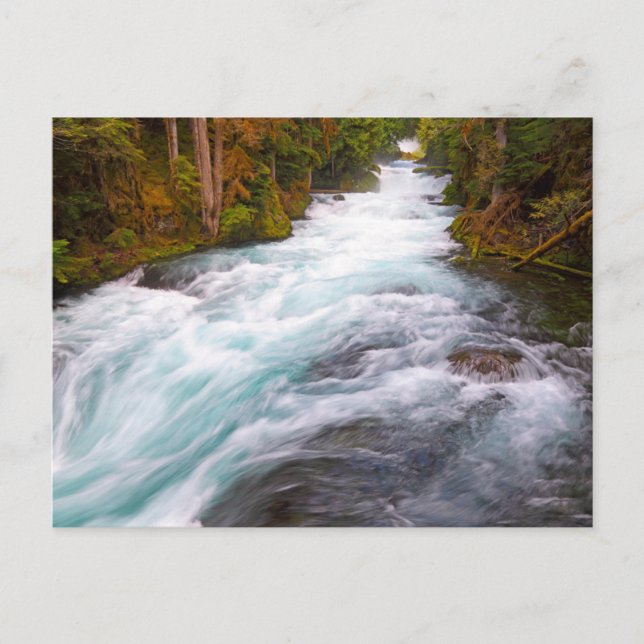 McKenzie River | Oregon Postcard (Front)