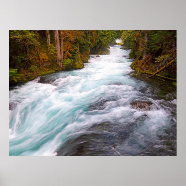 McKenzie River | Oregon Poster (Front)