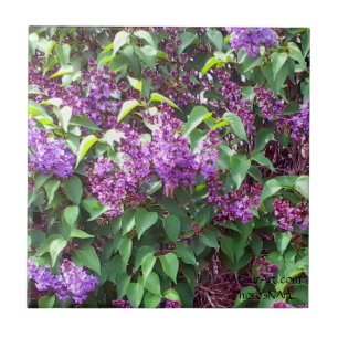 MClairArt's PhotosNArt Spring Flowers Ceramic Tile