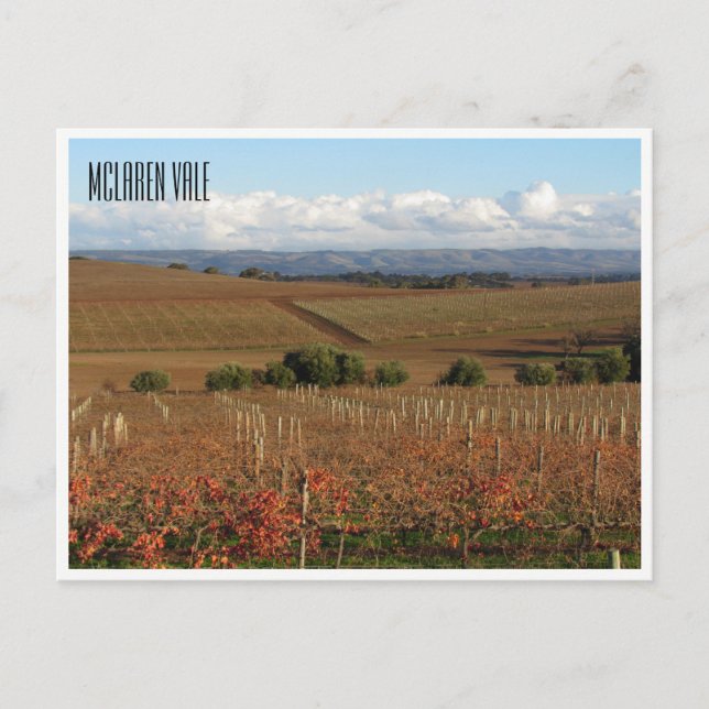 mclaren winery postcard (Front)