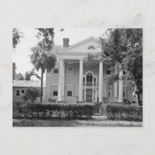 McLeod Plantation James Island SC Postcard