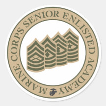 MCSEA Stickers