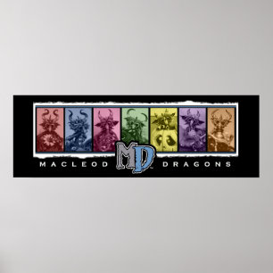 MD 36"x12" Coloured Bar Poster