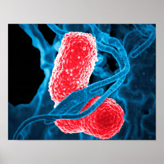 (MDR) Klebsiella pneumoniae abstract art biology Poster