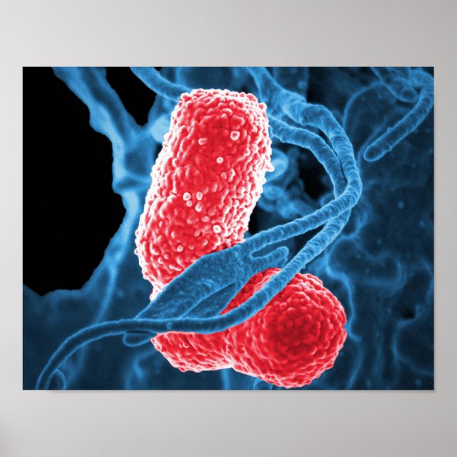(MDR) Klebsiella pneumoniae abstract art biology Poster (Front)