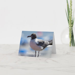 Me A Seagull Thinking Of You Card