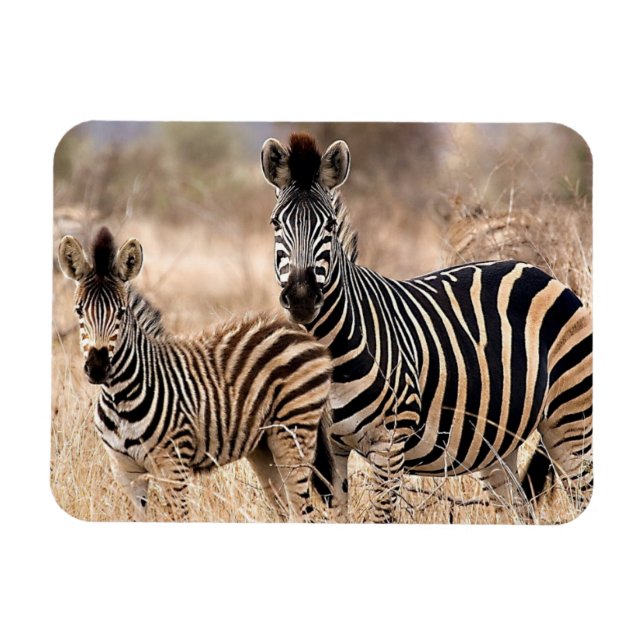 Me and mummy magnet (Horizontal)